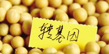 俄羅斯嚴格管制轉基因食品 違法生產和進口將面臨罰款